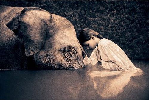 Unknown Girl with the elephant